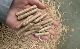 木屑颗粒机厂家教您如何选择合适的生物质颗粒燃料